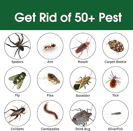 Insect & Pest Control Spray